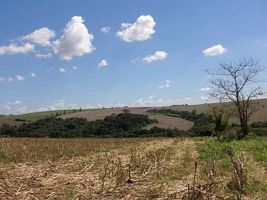 REA RURAL - MARILNDIA DO SUL-FOTO:CESARLOND - MARILNDIA DO SUL - PR