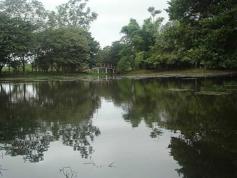 MARILENA-PR-LAGO DO PARQUE IRACEMA-FOTO:LINDO42 - MARILENA - PR