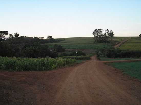 ESTRADA EM REA RURAL EM MARING-FOTO:JULIANO LUIZ MAREGA - MARING - PR