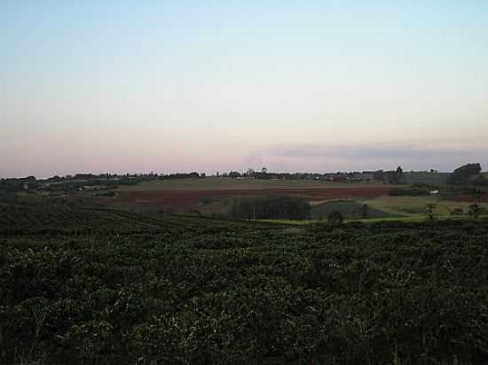 VISTA DA REGIO DE MARING-FOTO:JULIANO LUIZ MAREGA - MARING - PR