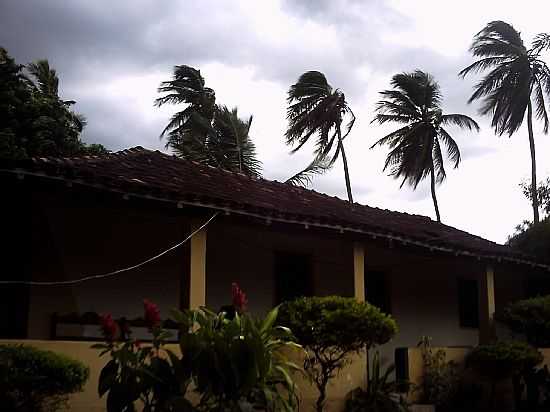 FAZENDA EM IBIRAJ-BA-FOTO:MAIS.UOL.COM.BR - IBIRAJ - BA