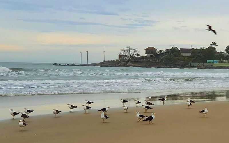 IMAGENS DA CIDADE DE MATINHOS - PR - MATINHOS - PR