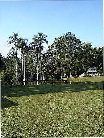 MAU DA SERRA POR ELIASDECASTROSOUZA  - MAU DA SERRA - PR
