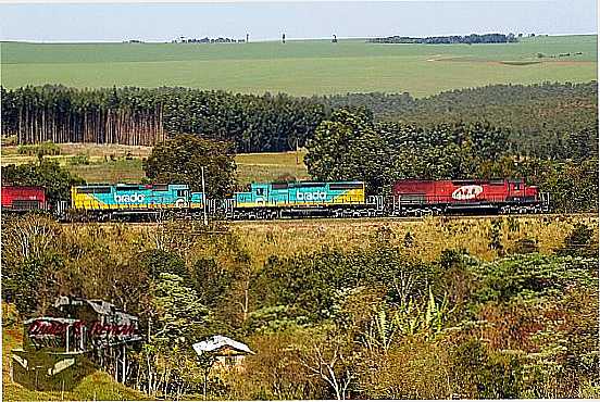 MAU DA SERRA-PR-TREM CRUZANDO A CIDADE-FOTO:DANIEL.BATERA.RR - MAU DA SERRA - PR
