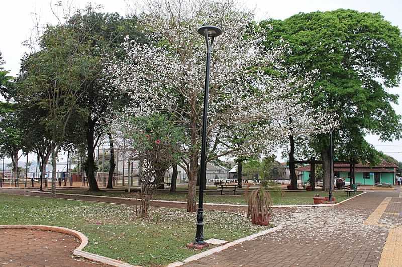 IMAGENS DA CIDADE DE MERCEDES - PR - MERCEDES - PR