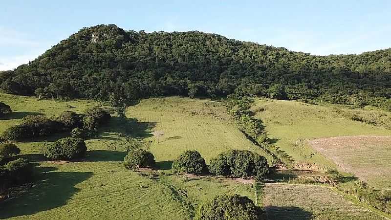 IMAGENS DO BAIRRO MONJOLINHO, MUNICPIO DE JACAREXINHO/PR - MONJOLINHO - PR