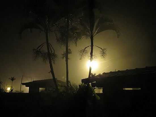 MADRUGADA DE NEBLINA EM IBIRAPITANGA-BA-FOTO:BETO SANTANA - IBIRAPITANGA - BA