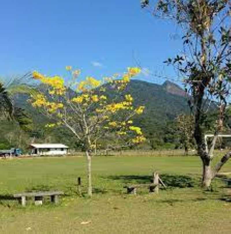 IMAGENS DO DISTRITO DE MORRO INGLS, MUNICPIO DE PARANAGU/PR - MORRO INGLS - PR