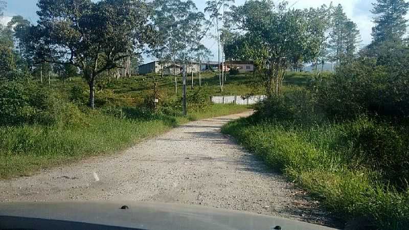 IMAGENS DO DISTRITO DE MORRO INGLS, MUNICPIO DE PARANAGU/PR - MORRO INGLS - PR