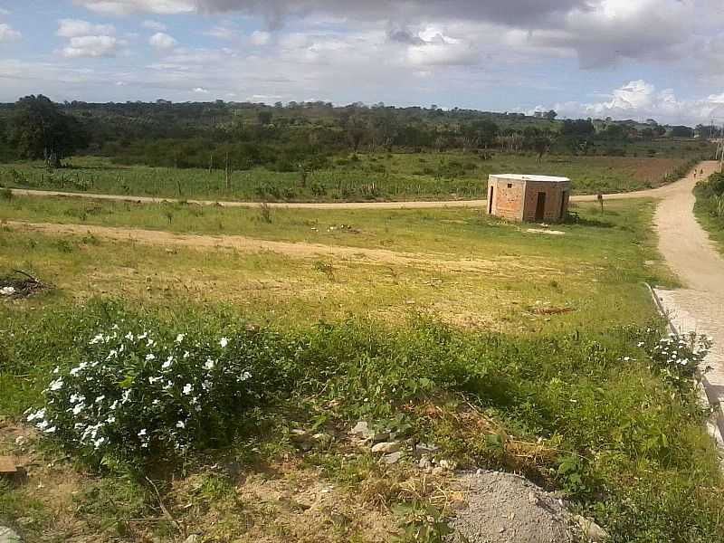 IMAGENS DO DISTRITO DE NOVA BRASLIA, MUNUCPIO DE ARARUNA/PR - NOVA BRASLIA - PR