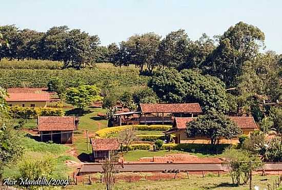 NOVA FTIMA-PR-PROPRIEDADE RURAL-FOTO:ACIR MANDELLO  - NOVA FTIMA - PR