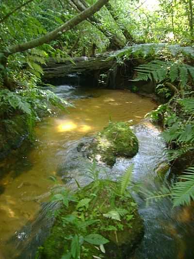 CACHOEIRA NO SITIO NOSSA SENHORA APARECIDA POR OUGLAS VITOR COLOMBO - NOVA OLMPIA - PR