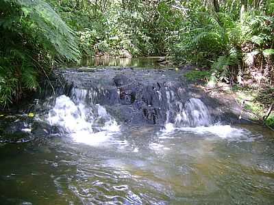 RIO PROXIMO A CACHOEIRA DO ROSSI POR DOUGLAS VITOR COLOMBO - NOVA OLMPIA - PR