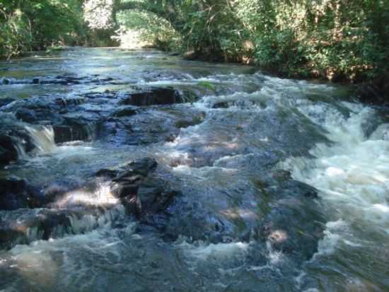 RIOS, POR ALEXANDRE - NOVA PRATA DO IGUAU - PR