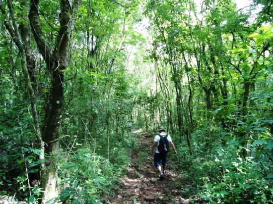 CIRCUITO MORRO DOS VENTOS, POR VAGNER LINO - NOVA TEBAS - PR