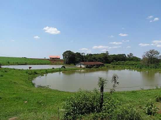 LAGOS DE CRIAO DE PEIXES EM NOVO SOBRADINHO-FOTO:RICARDO MERCADANTE - NOVO SOBRADINHO - PR