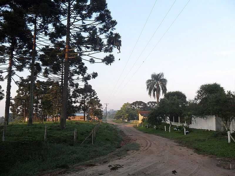 IMAGENS DA COLNIA PAPAGAIOS NOVOS, MUNICPIO DE PALMEIRA/PR - PAPAGAIOS NOVOS - PR