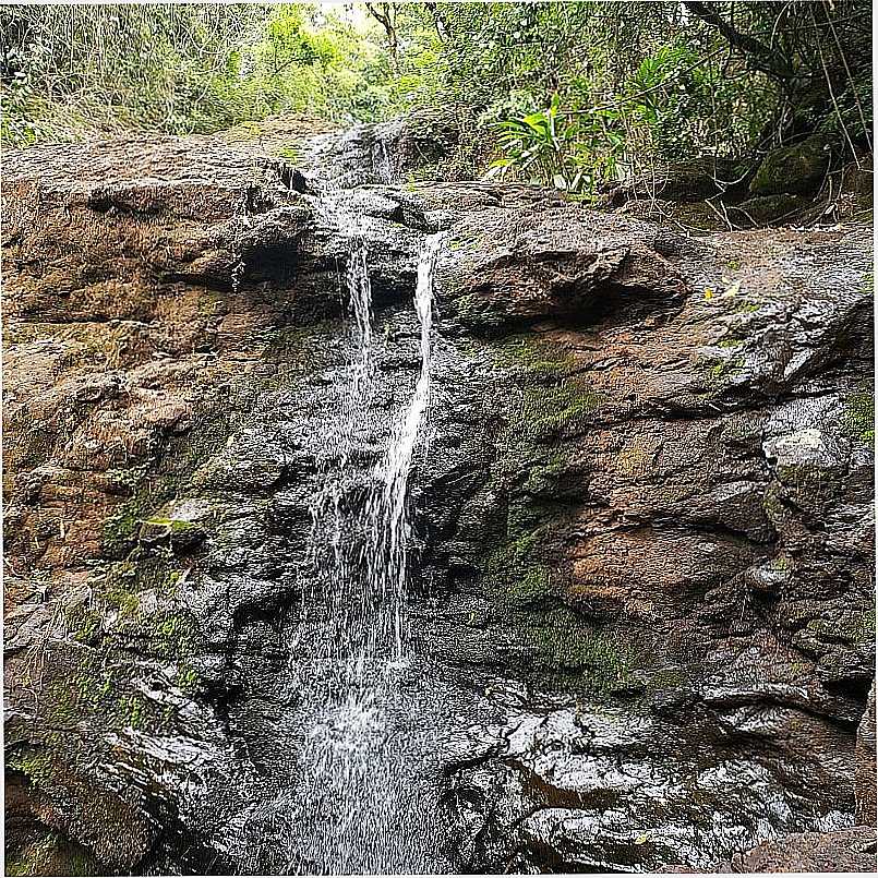 IMAGENS DO DISTRIYO DE PAUALHO DO SUL, MUNICPIO DE ASSA/PR - PAU D'ALHO DO SUL - PR