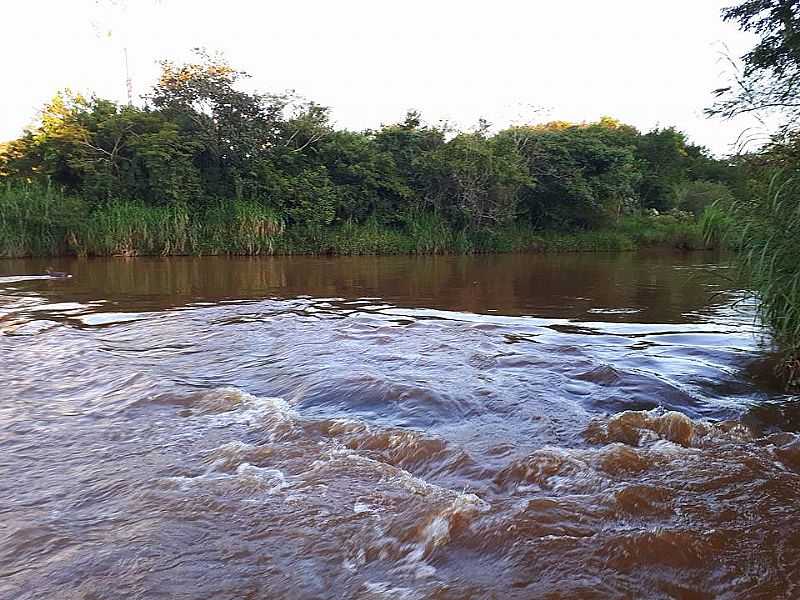 IMAGENS DO DISTRIYO DE PAUALHO DO SUL, MUNICPIO DE ASSA/PR - PAU D'ALHO DO SUL - PR