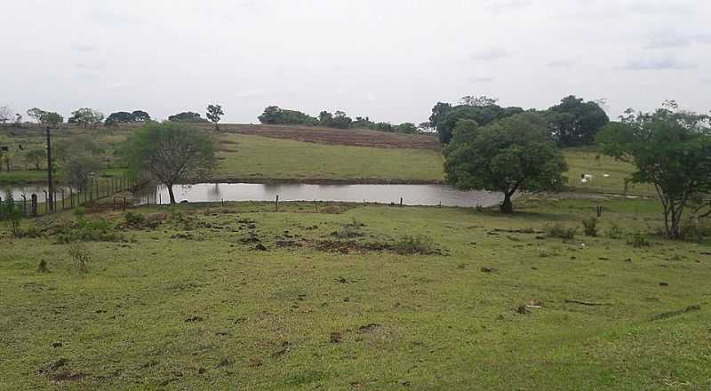 IMAGENS DO DISTRIYO DE PAUALHO DO SUL, MUNICPIO DE ASSA/PR - PAU D'ALHO DO SUL - PR