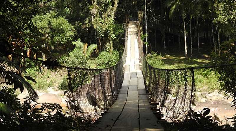 IMAGENS DA LOCALIDADE DE PEDRA BRANCA DO ARARAQUARA, MUNICPIO DE GUARATUBA/PR - PEDRA BRANCA DO ARARAQUARA - PR