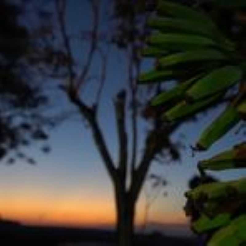 IMAGEM DA CIDADE DE PIQUIRIVA-PR - PIQUIRIVA - PR