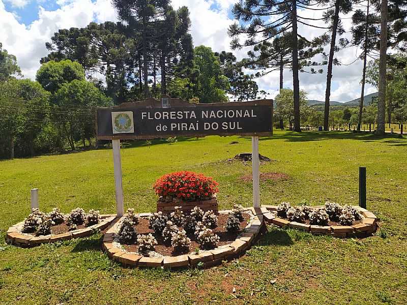 IMAGEM DA CIDADE  DE PIRA DO SUL - PR - PIRA DO SUL - PR