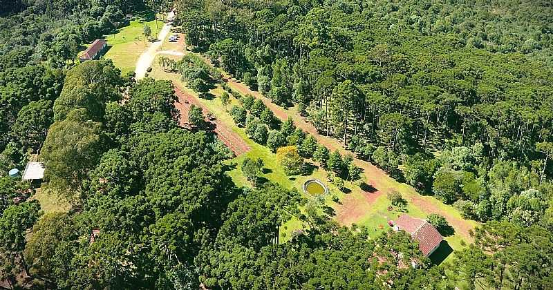 IMAGEM DA CIDADE  DE PIRA DO SUL - PR - PIRA DO SUL - PR