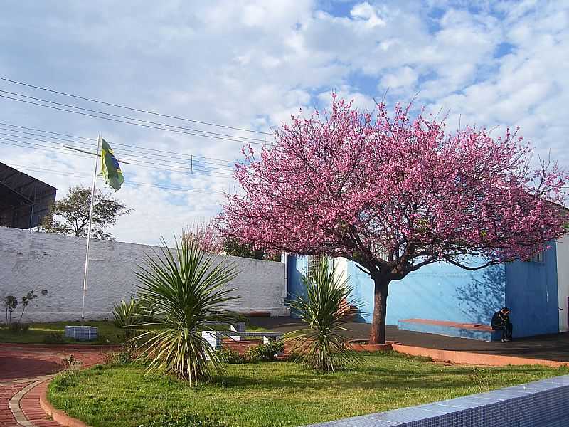 IMAGEM DA CIDADE  DE PIRAP - PR - PIRAP - PR