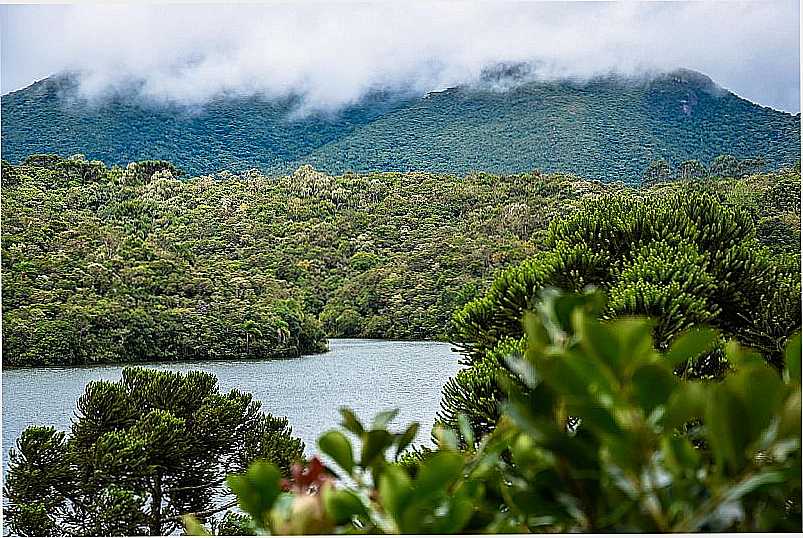 IMAGENS DA CIDADE DE PIRAQUARA - PR - PIRAQUARA - PR