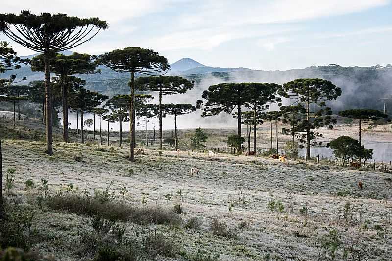 IMAGENS DA CIDADE DE PIRAQUARA - PR - PIRAQUARA - PR