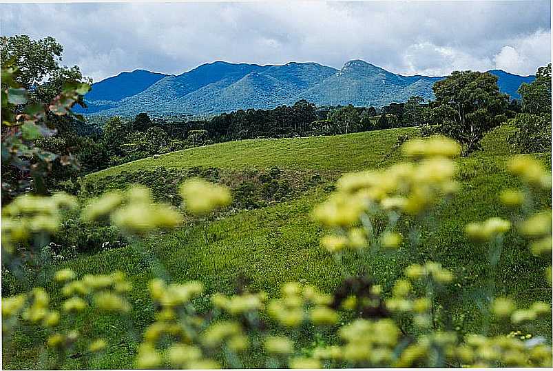 IMAGENS DA CIDADE DE PIRAQUARA - PR - PIRAQUARA - PR