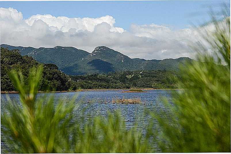 IMAGENS DA CIDADE DE PIRAQUARA - PR - PIRAQUARA - PR