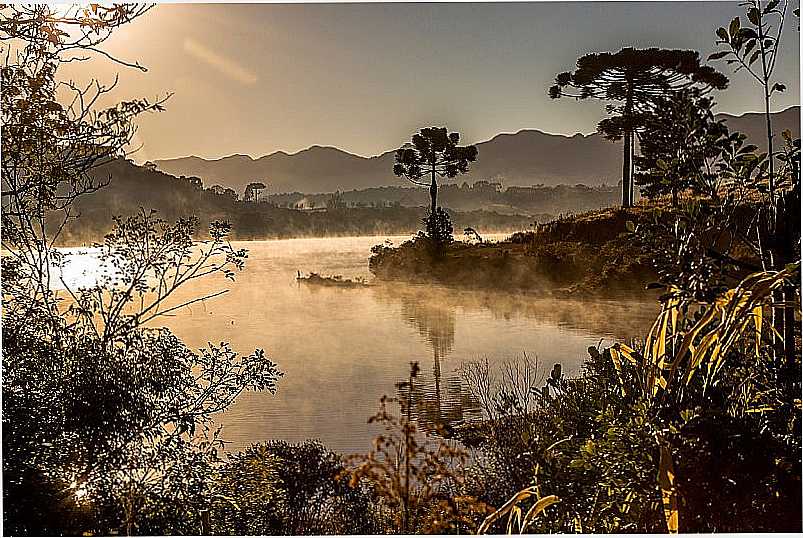 IMAGENS DA CIDADE DE PIRAQUARA - PR - PIRAQUARA - PR