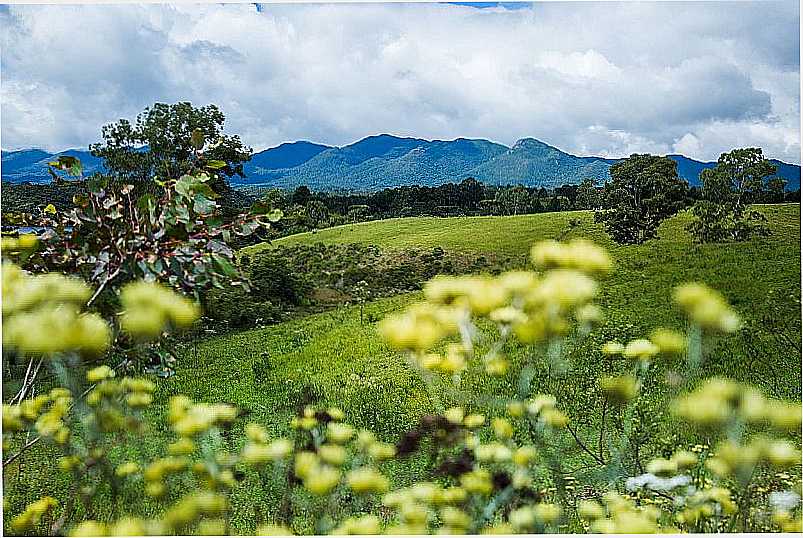 IMAGENS DA CIDADE DE PIRAQUARA - PR - PIRAQUARA - PR