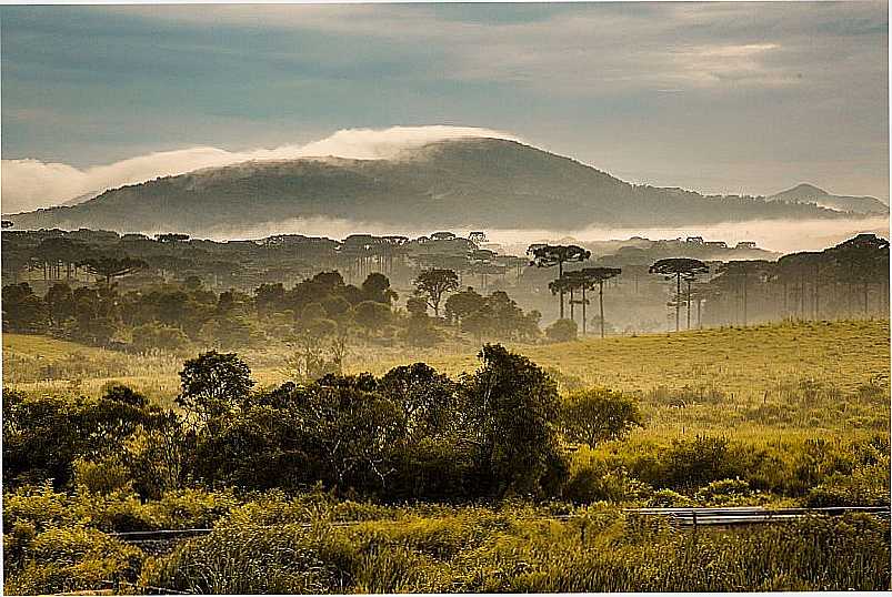 IMAGENS DA CIDADE DE PIRAQUARA - PR - PIRAQUARA - PR