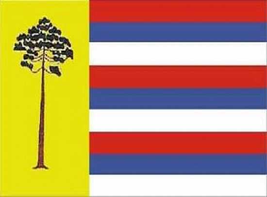 BANDEIRA DA CIDADE  - PITANGA - PR