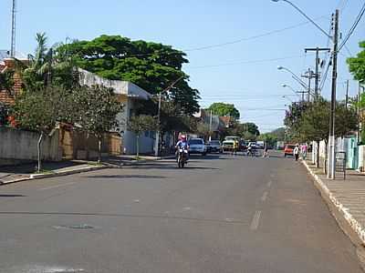 PITANGUEIRAS  FOTO
POR JOS CARLOS FARINA  - PITANGUEIRAS - PR