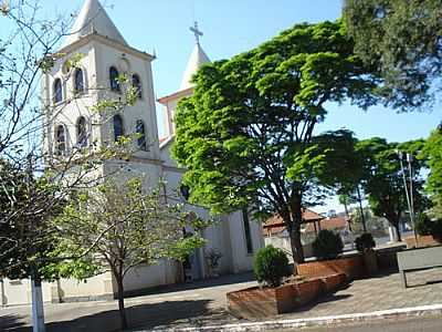 PITANGUEIRAS  FOTO
POR JOS CARLOS FARINA - PITANGUEIRAS - PR