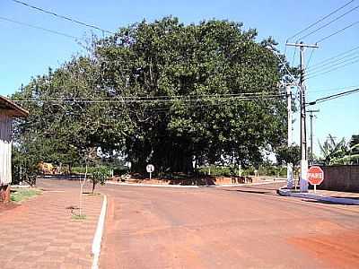 PITANGUEIRAS FOTO
POR LEANDRO RENATO FERREIRA  - PITANGUEIRAS - PR