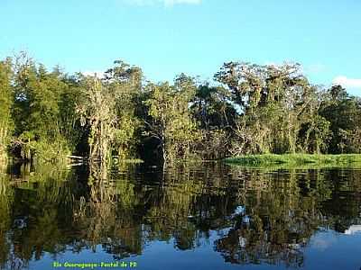 RIO GUARAGUAU-FOTO:MARLI T.A. WROBEL  - PONTAL DO PARAN - PR