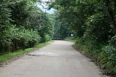 ESTRADINHA-FOTO:RENI SANTOS - PORTO DE CIMA - PR