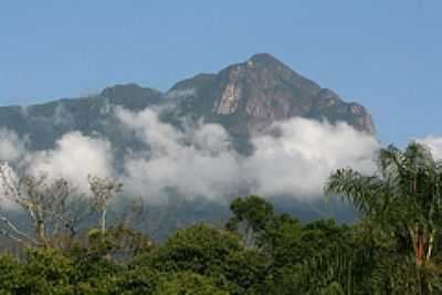 SERRA DO MAR-FOTO:RENI SANTOS - PORTO DE CIMA - PR