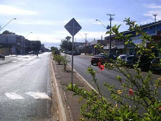 AVENIDA MORENITAS-FOTO:CLEMENTE ALBINO PERE - PORTO MEIRA - PR