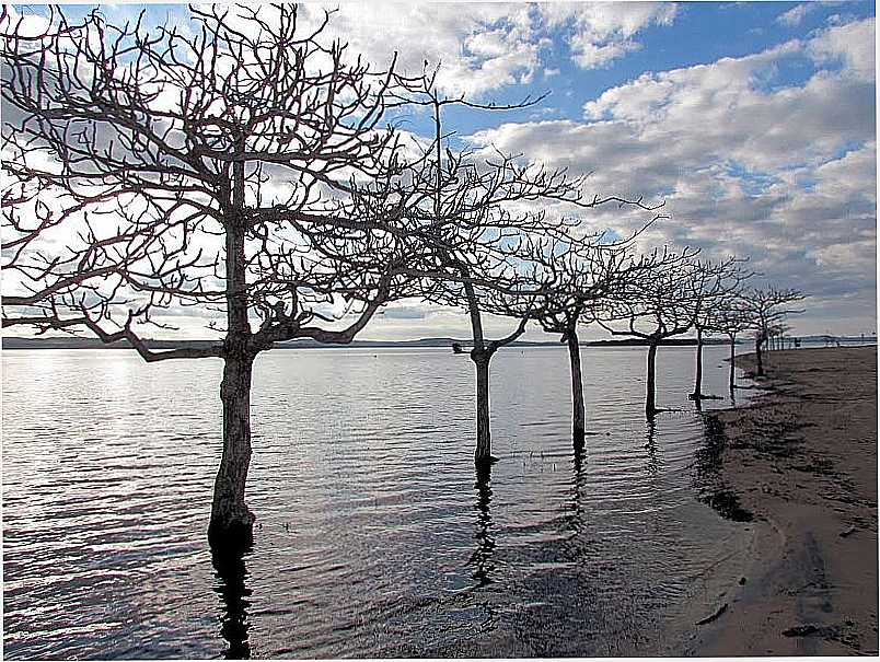 PORTO MENDES-PR-LAGO DE ITAIPU NO PARQUE DE LAZER ANNITA WANDERER-FOTO:RICARDO MERCADANTE  - PORTO MENDES - PR