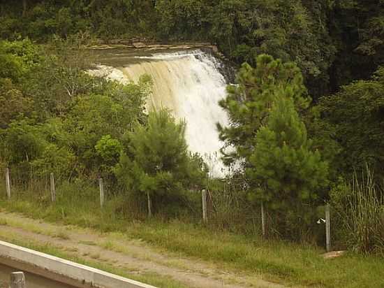 SALTO BARO DO RIO BRANCO-FOTO:FBIO MANCHUR - PRUDENTPOLIS - PR