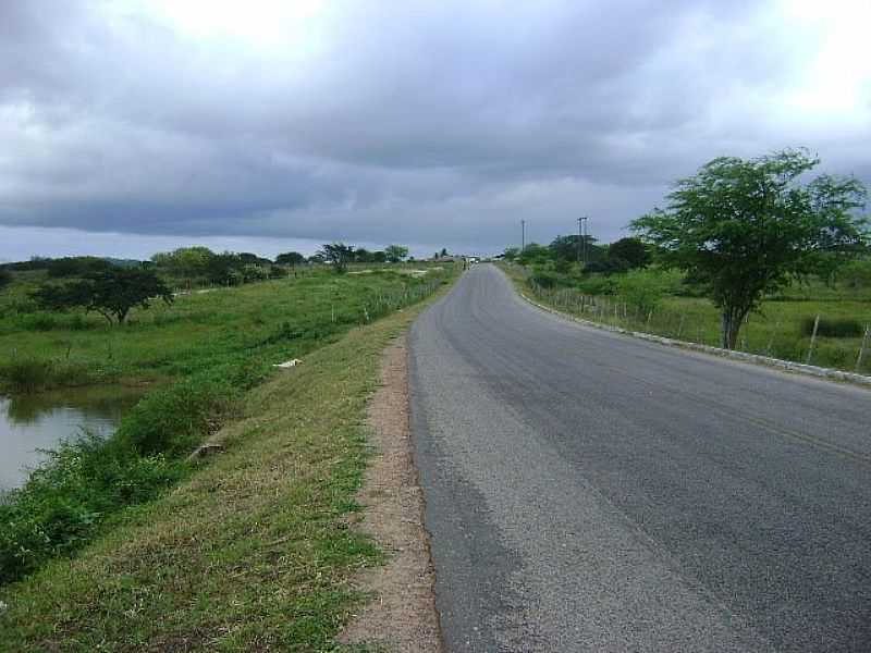 CARNEIROS-AL-CHEGANDO NA CIDADE-FOTO:VALDERI FERREIRA - CARNEIROS - AL