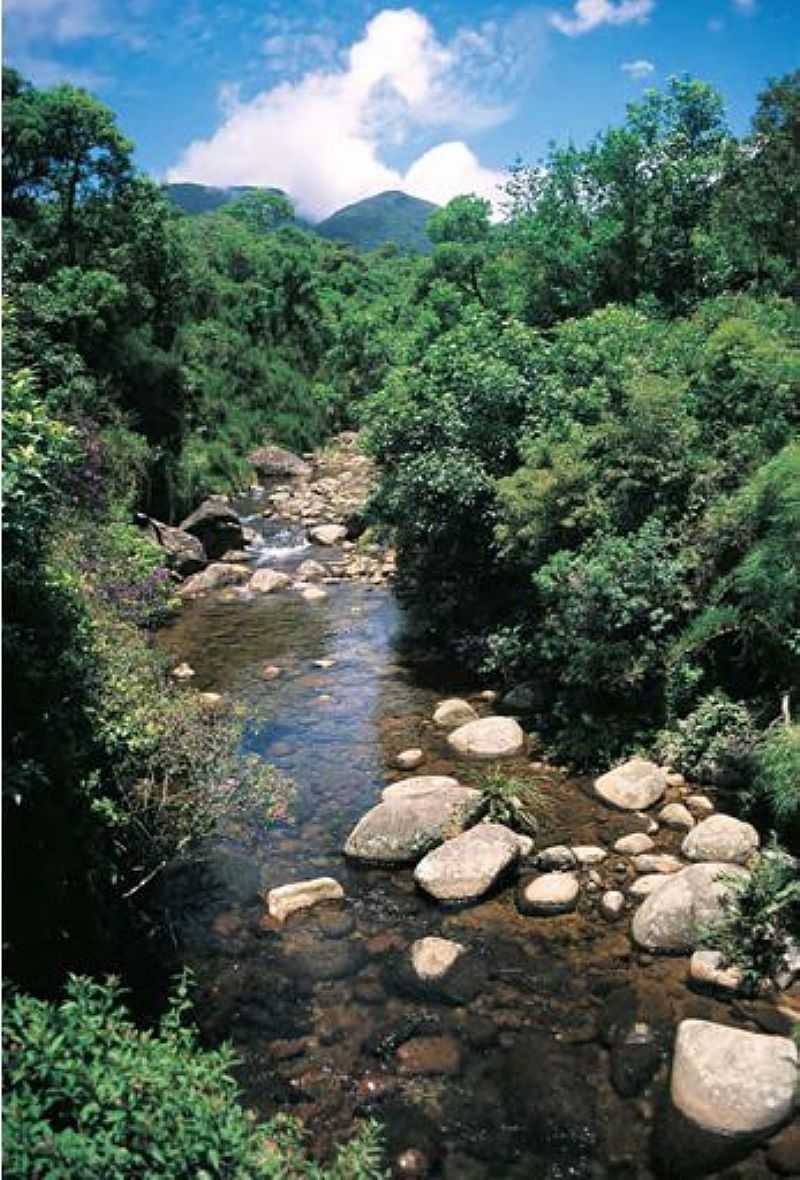 RIO DO MEIO - QUATRO BARRAS - PR
