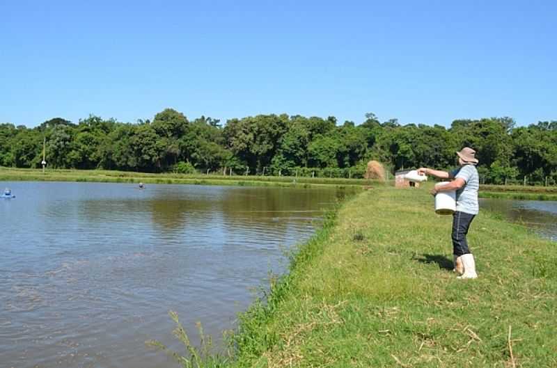 IMAGENS DA CIDADE DE QUATRO PONTES - PR - QUATRO PONTES - PR