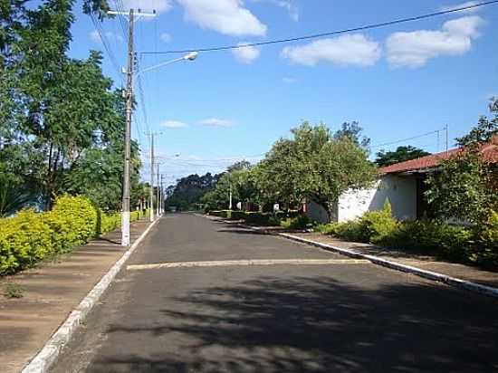 RUA DE SALTO OSRIO,MUNICPIO DE QUEDAS DO IGUAU-FOTO:EMERSON NOVALSKI - QUEDAS DO IGUAU - PR